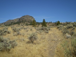 Trail heads north before swinging east, McIntyre Bluff 2011-09.